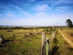 13 ha Farm in Baardskeerdersbos