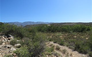 589 ha Farm in Ladismith