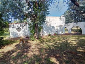 85809 ha Smallholding in Bultfontein