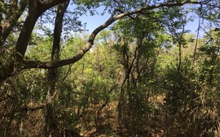 1 ha Land available in Mooikloof Equestrian Estate