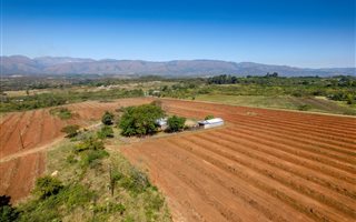 9 ha Farm in Barberton