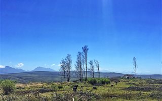 300 m² Land available in Gondwana Game Reserve