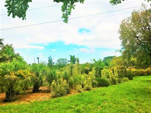 2 ha Farm in Crowthorne
