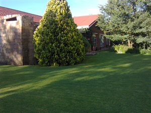 3 Bed House in Zastron