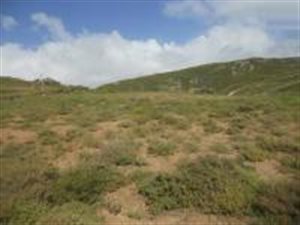 337 m² Land available in St Helena Views