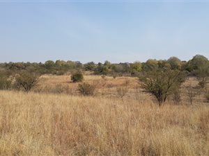 4.2 ha Land available in Tierpoort