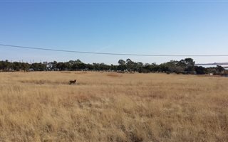 2882 m² Land available in Oranjeville