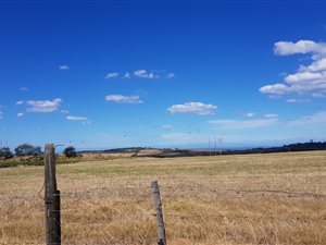 106.3 ha Farm in East London Rural