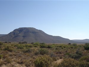 1682 ha Farm in Middelburg