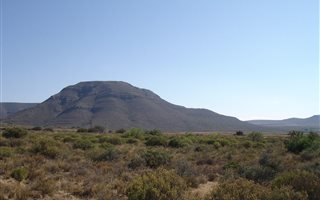 1682 ha Farm in Middelburg