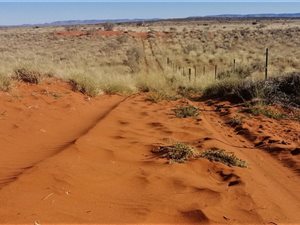 8469 ha Farm in Upington