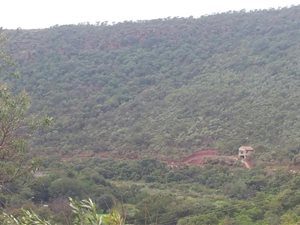 1000 m² Land available in Presidentsrus