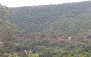 1000 m² Land available in Presidentsrus