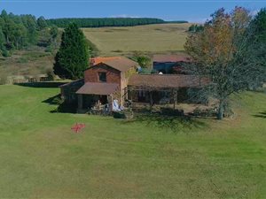 56 ha Farm in Howick