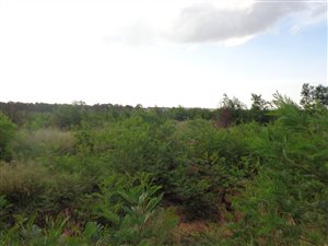 319 m² Land available in Mooikloof Country Residences