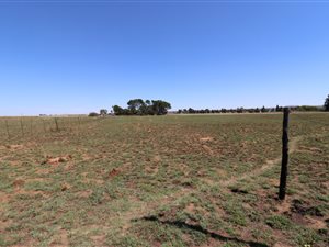 1 ha Land available in Martindale