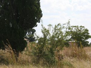 825 m² Land available in Deneysville
