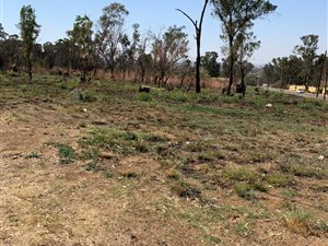 2500 m² Land available in Carlswald AH