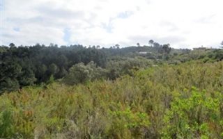 1425 m² Land available in Eastford Glen
