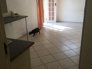 Studio apartment in Malanshof