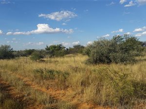585 ha Farm in Vryburg