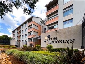 2 Bed Apartment in Brooklyn