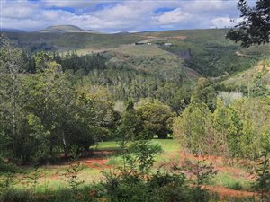 4.5 ha Farm in Mossel Bay Central