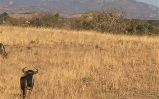 2.9 ha Land available in Uitsig Landgoed The Rest