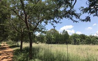 4 ha Land available in Tiegerpoort