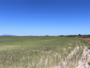 500 ha Farm in Dwarskersbos