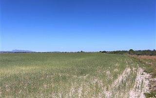 500 ha Farm in Dwarskersbos
