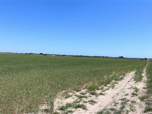 500 ha Farm in Dwarskersbos