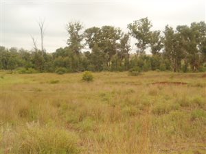 58.8 ha Farm in Lydenburg
