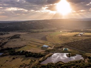 Game Farm in Beacon Bay