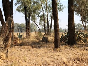 2.4 ha Land available in Valley Settlements AH