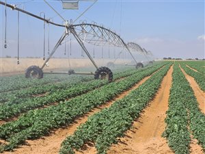 1645 ha Farm in Vryburg