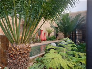 5 Bed House in Eldo Park