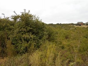 835 m² Land available in Hersham