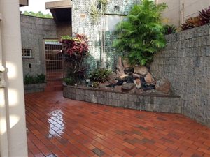 5 Bed House in Springfield