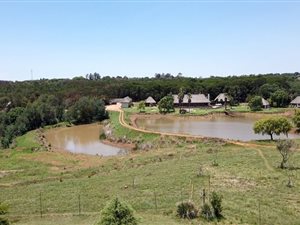 Farm in Rietfontein