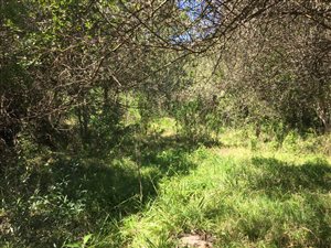 866 m² Land available in Sedgefield