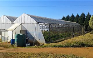 400 m² Commercial space in Howick