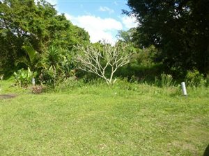 1.1 ha Land available in Highland Hills