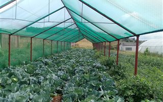 8.5 ha Farm in Rensburg