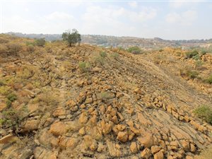 1220 m² Land available in Suideroord