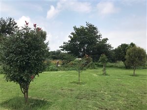 54.4 ha Farm in Zandfontein AH