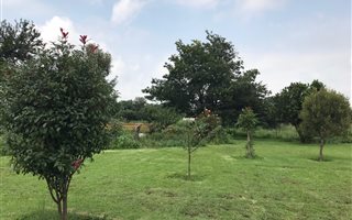 54.4 ha Farm in Zandfontein AH