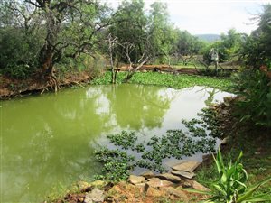 3.8 ha Farm in Hartbeespoort Dam