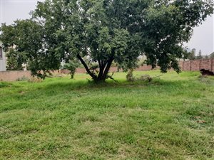 991 m² Land available in Candlewoods Estate