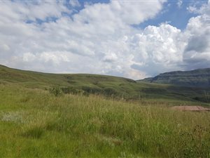 1293 m² Land available in Bergville